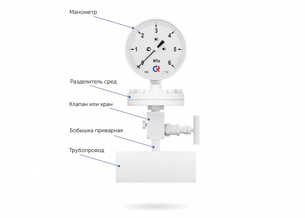 1.1642684743.jpg.preview