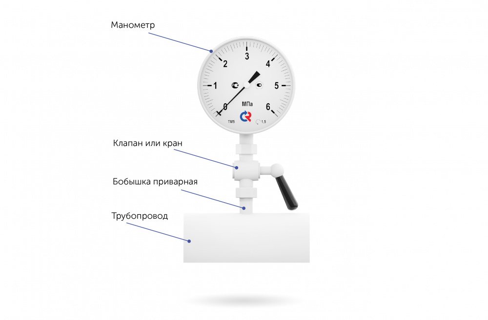 2.1642684710.jpg.preview