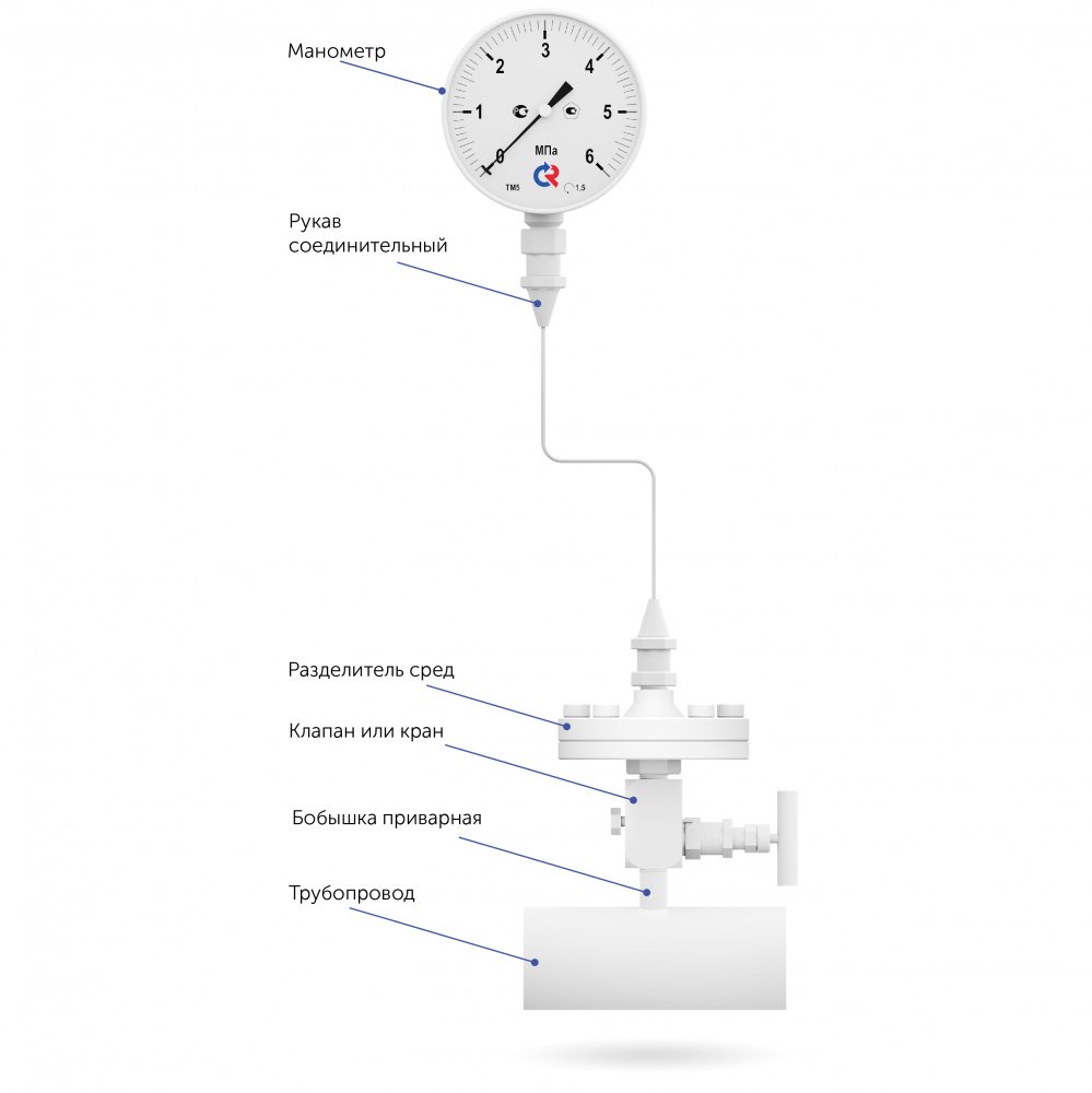 6.1642684859.jpg.preview